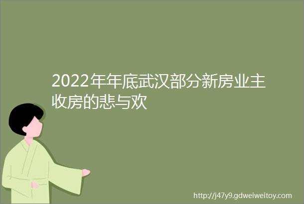 2022年年底武汉部分新房业主收房的悲与欢
